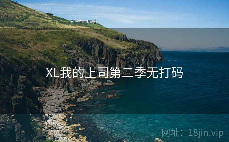XL我的上司第二季无打码