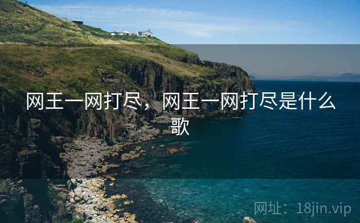 网王一网打尽,网王一网打尽是什么歌 网王一网打尽,网王一网打尽是什么歌