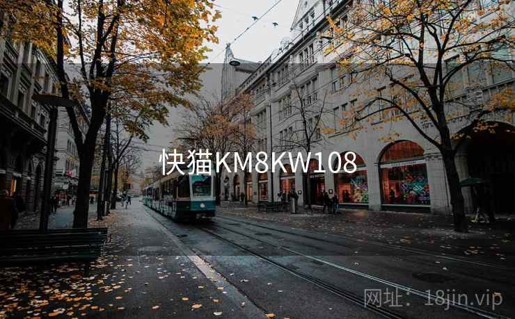 快猫KM8KW108 快猫KM8KW108