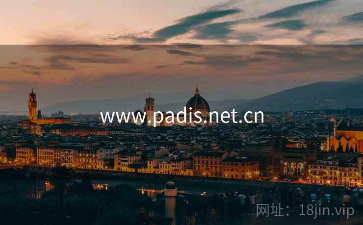 www.padis.net.cn